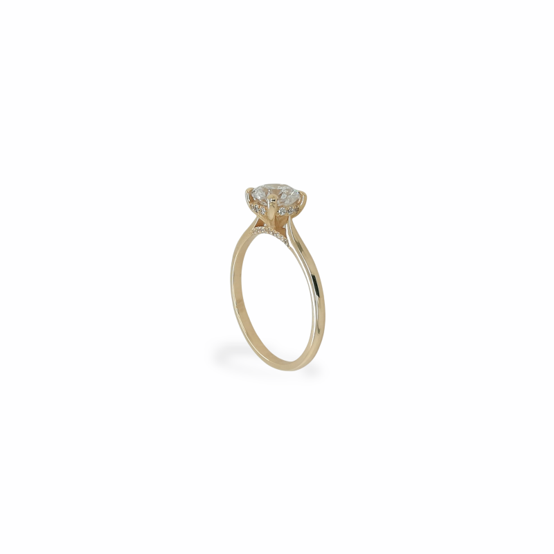 AA-5466-2 ifestos gold product
